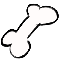 2D Bone Chew Toy