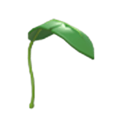 Banana Leaf Balloon