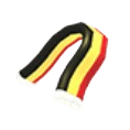 Belgium Scarf
