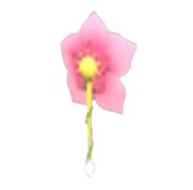 Cherry Blossom Earring