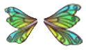 Clubtail Dragonfly Wings