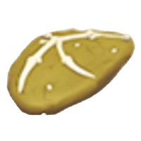 Dimorphodon Fossil