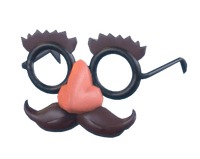 Disguise Glasses