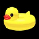 Duck Floatie