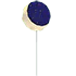 Eclipse Balloon