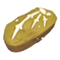 Elasmosaurus Fossil