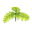 Fern Propeller