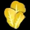 Golden Lettuce