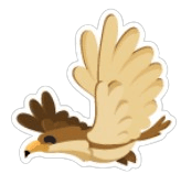 Hawk Sticker