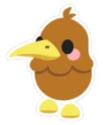 Kiwi Sticker