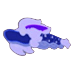 Midnight Dragon Kite