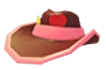 Pink Cowboy Hat