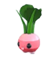 Radish Friend