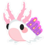 Seaslug Sticker