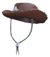 Sheriff Hat