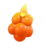 Sparkling Blaze Berry