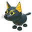 Abyssinian Cat