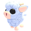 Angus Calf