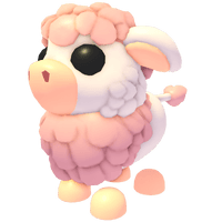 Angus Cow