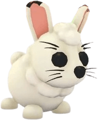Arctic Hare