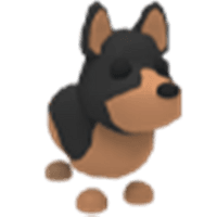 Australian Kelpie