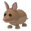 Bandicoot