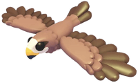 Black Kite