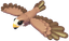 Black Kite