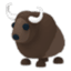Buffalo