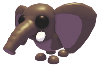 Bush Elephant