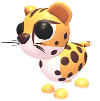Cheetah