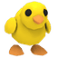 Chick