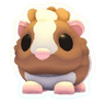 Chocolate Dutch Guinea Pig