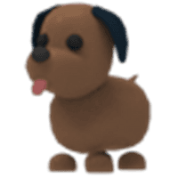 Chocolate Labrador