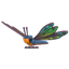 Clubtail Dragonfly
