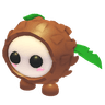 Coconut Friend