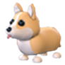 Corgi