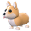 Corgi