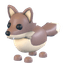 Coyote
