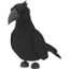 Crow