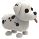Dalmatian