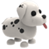 Dalmatian