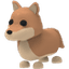 Dingo