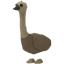 Emu