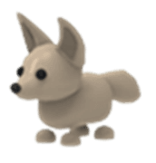 Fennec Fox