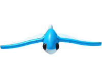 Flying Fish
