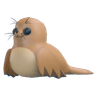 Galapagos Sea Lion