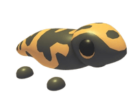 Gila Monster