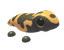 Gila Monster