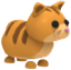 Ginger Cat